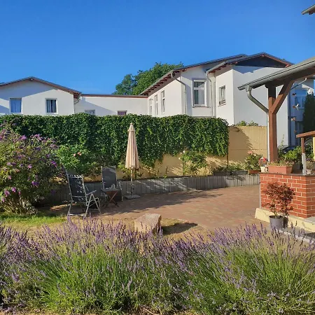 Paul ツィノヴィッツ