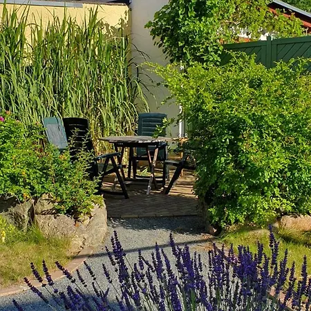 Paul * ツィノヴィッツ