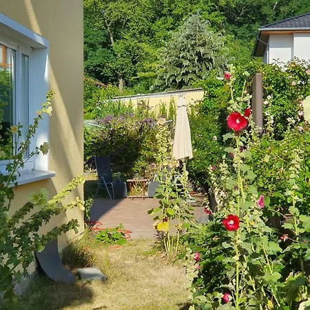 Paul * ツィノヴィッツ