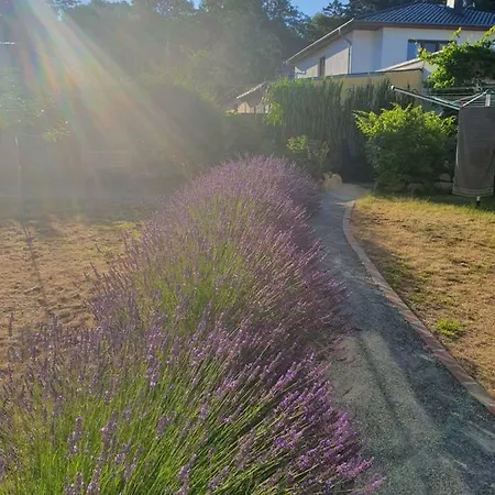 アパート Paul ツィノヴィッツ